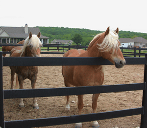 completed horse fence installation picture