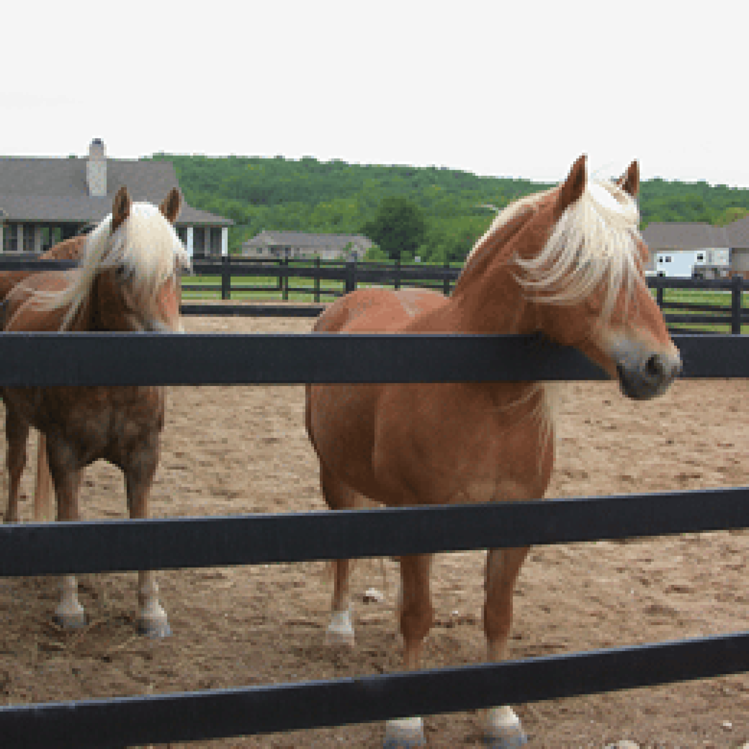 completed horse fence installation picture