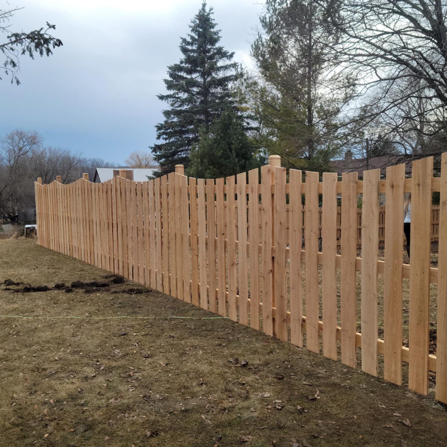 Cedar fencing